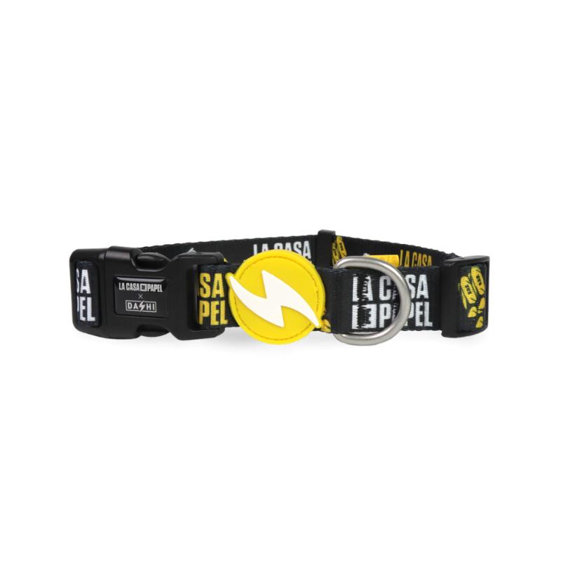 Dashi LCDP Golden collar