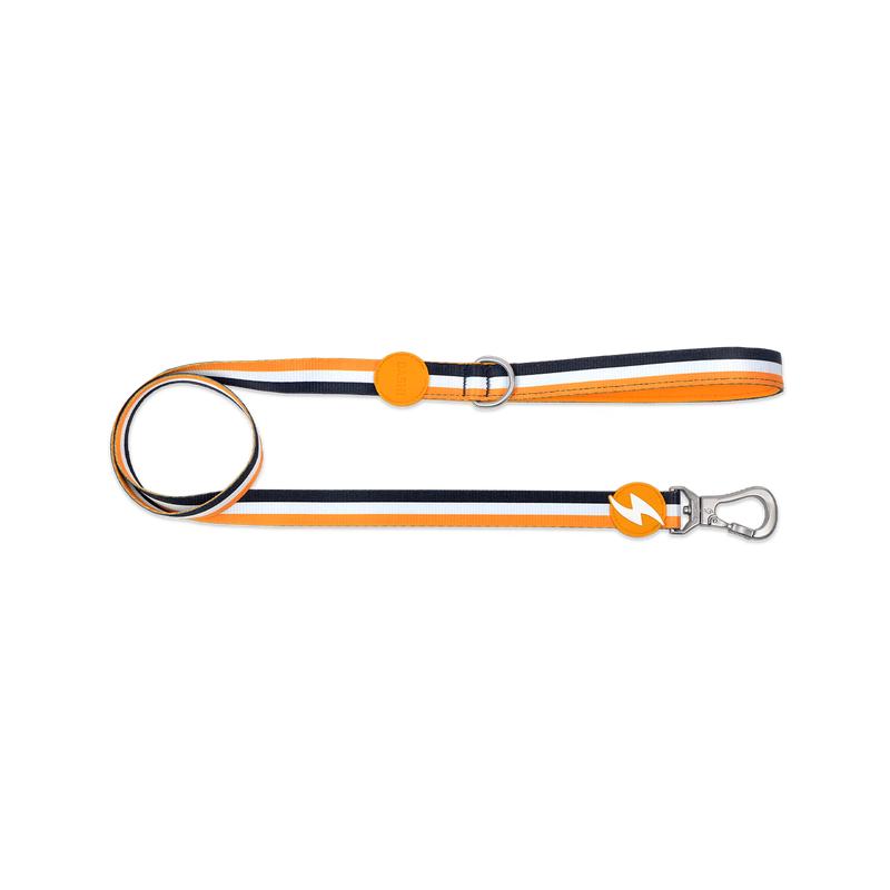 Dashi STRIPES' Orange & Black Leash