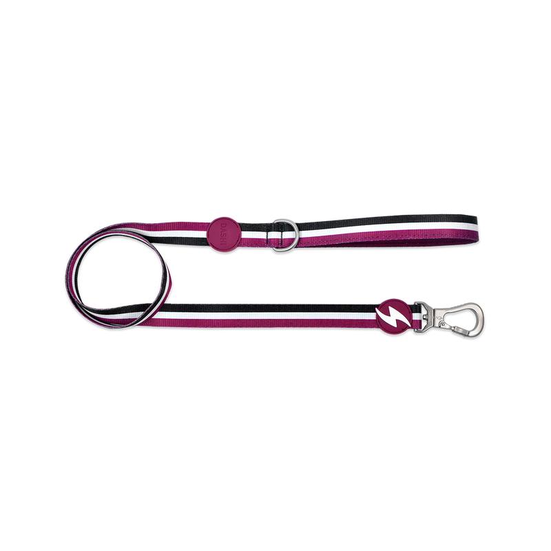 Dashi STRIPES' purple & Black Leash