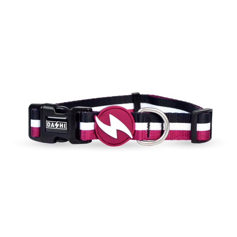 Dashi STRIPES Purple & Black Collar