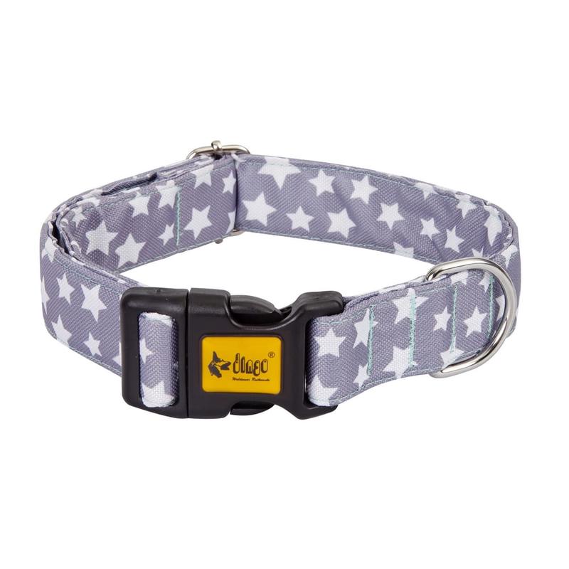 Dingo America Collar Alaska
