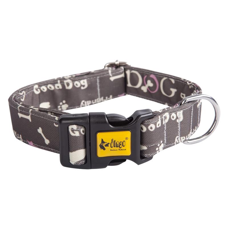 Dingo America Collar Nevada