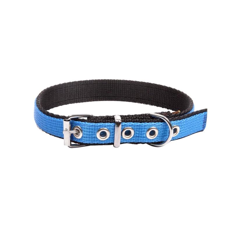Dingo Energy Collar Blue