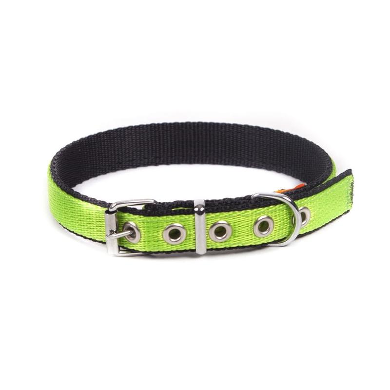 Dingo Energy Collar Green