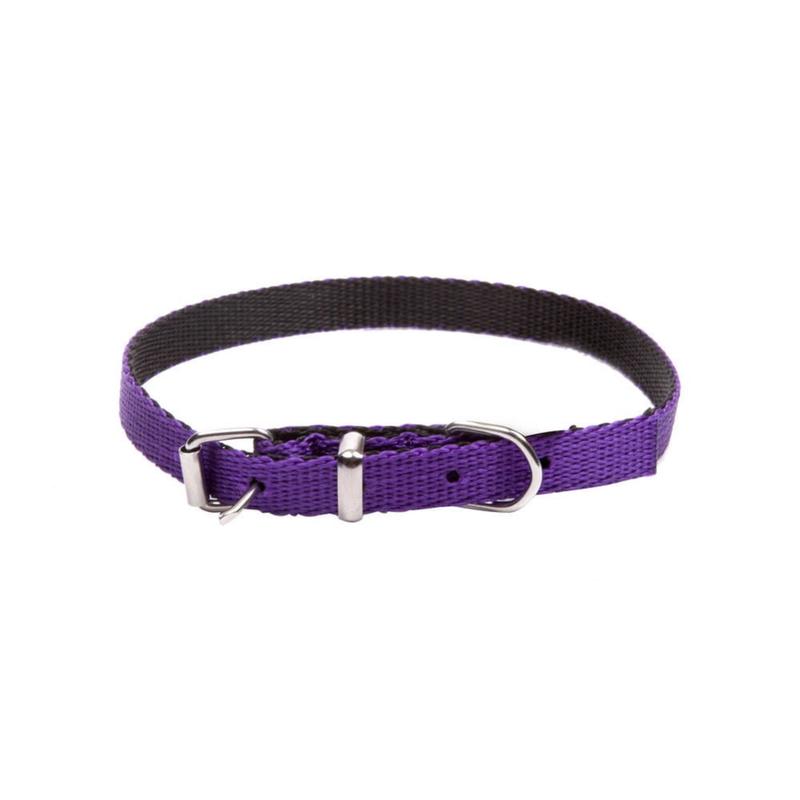 Dingo Energy Dog Collar for Small Dogs Purple