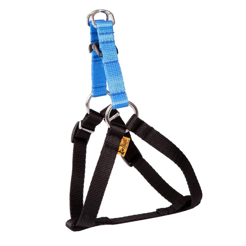 Dingo Energy Harness Blue