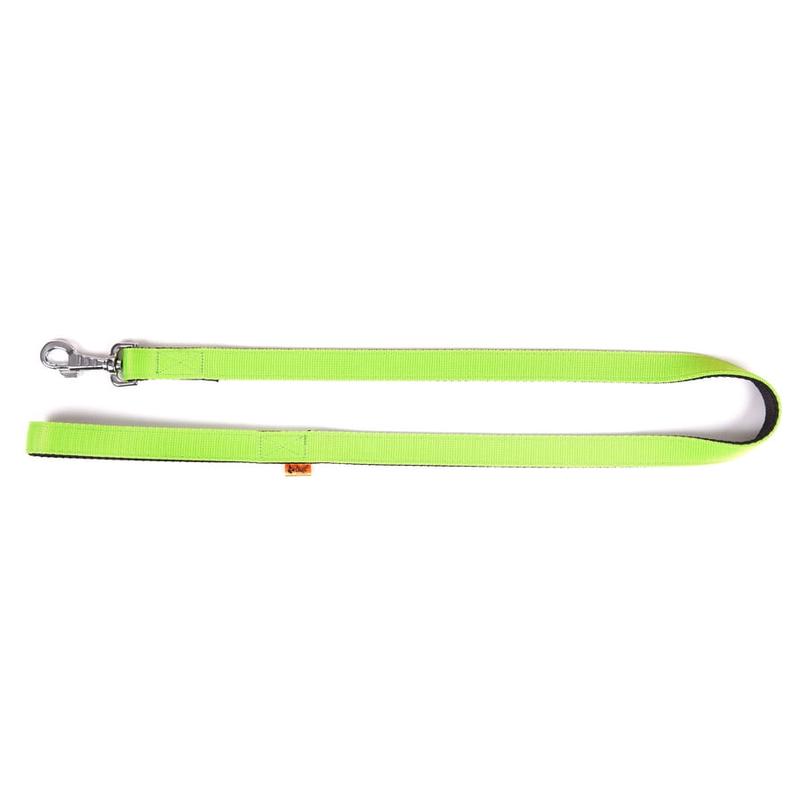 Dingo Energy Leash Green