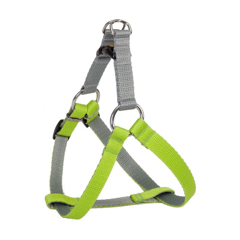 Dingo Silver Energy Harness Green