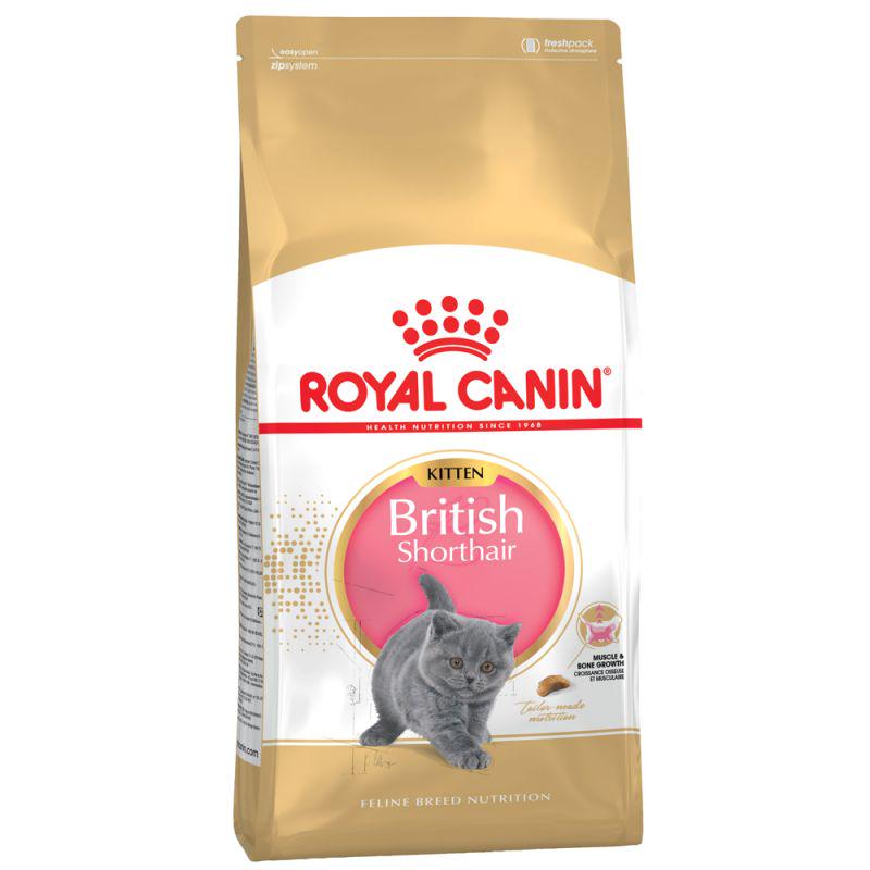 Royal Canin British Shorthair Kitten Cat Food