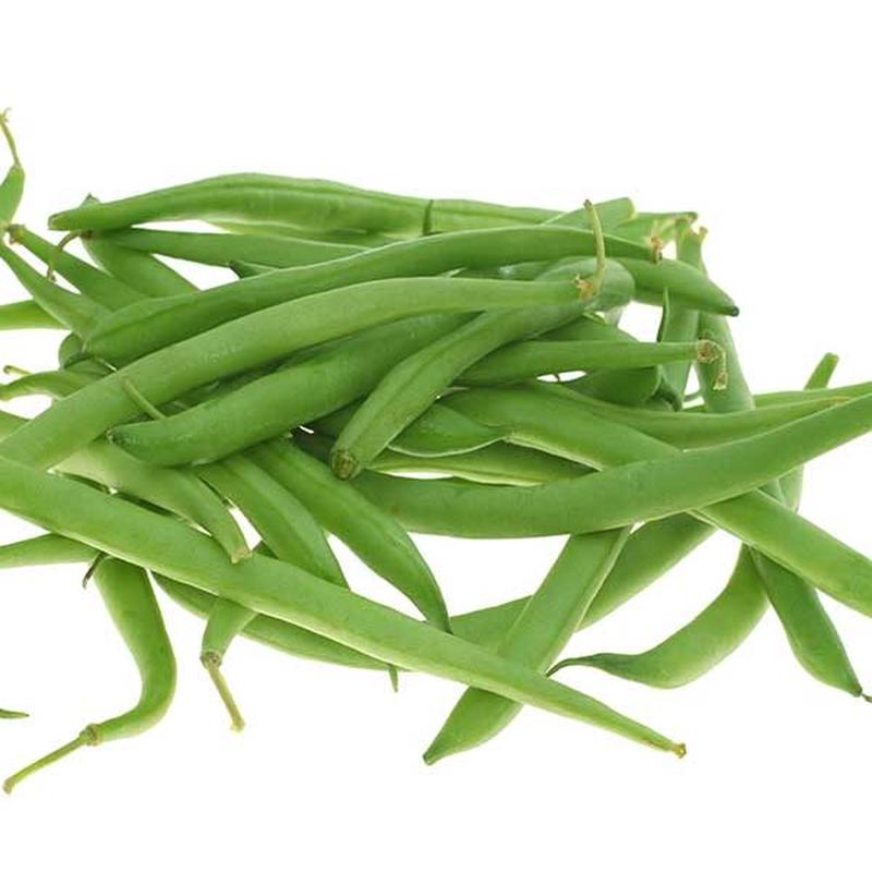 Bronco Bush Bean Vegetable Seed