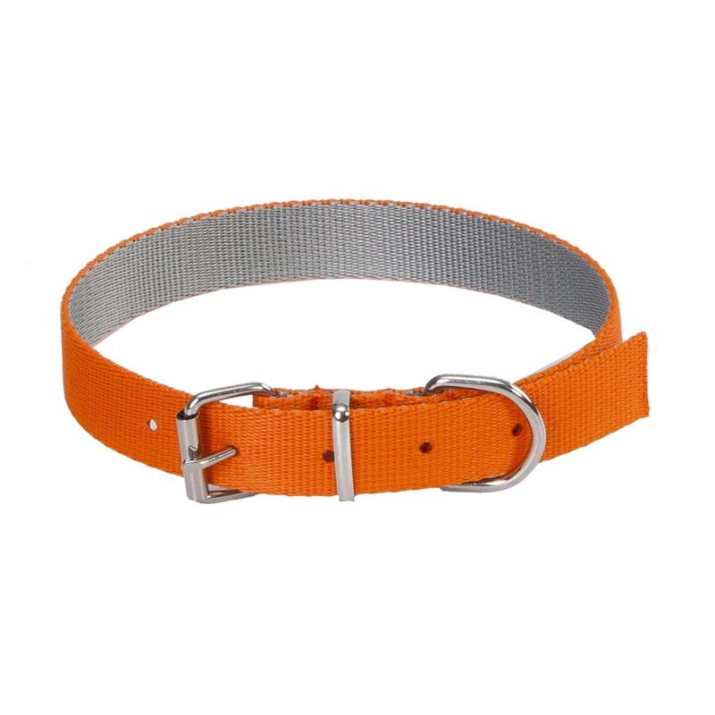 Dingo Energy Silver Collar Orange