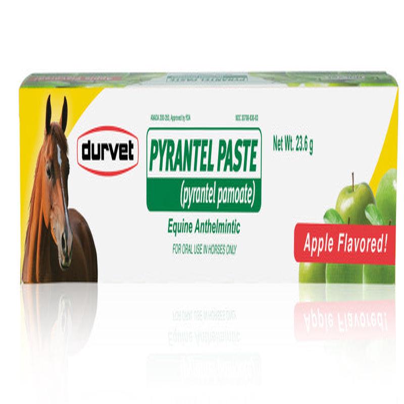 Pyrantel Equine Deworming Parasite Control Paste
