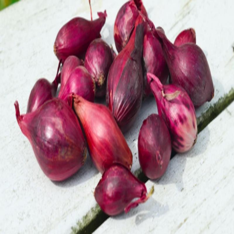 Red Onion Sets / Lb.