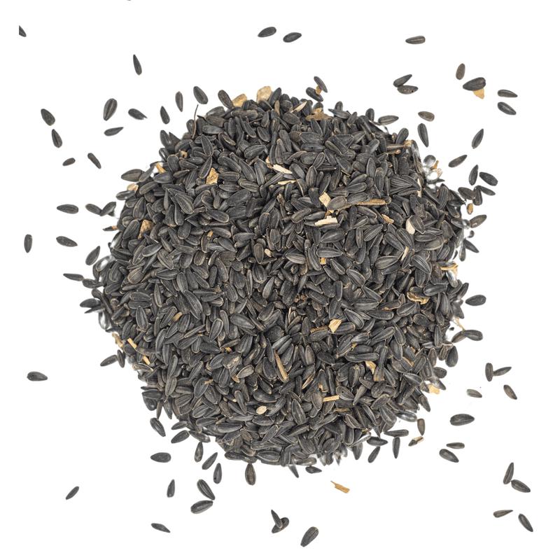 Black Oil Sunflower Bird Seed
