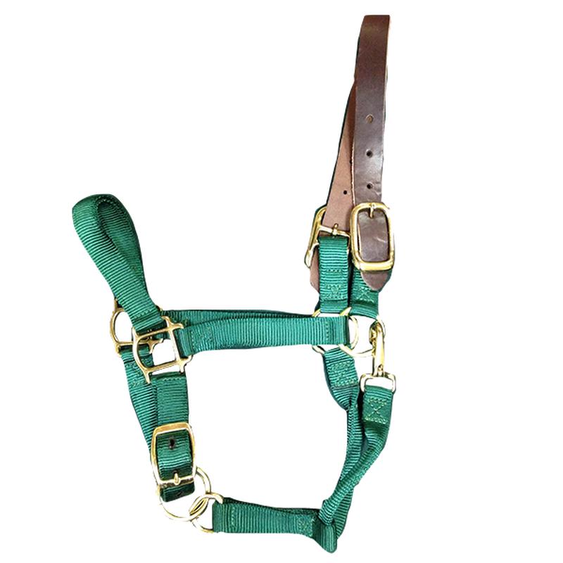 Breakaway Horse Halter