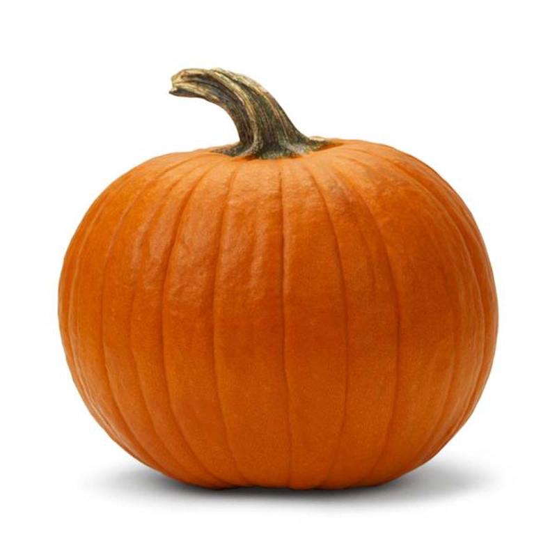 Connecticut Field Pumpkin Seed