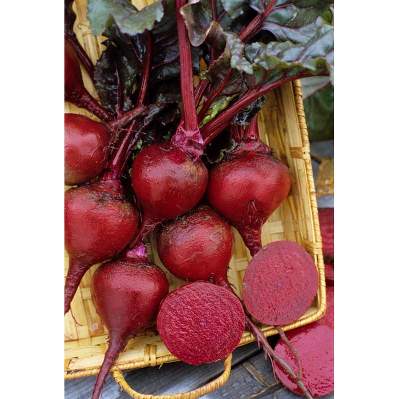 Detroit Dark Red Beet Vegetable Seeds