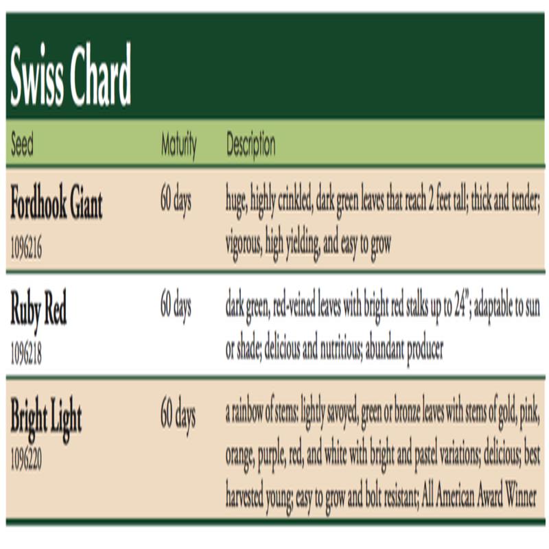Fordhook Giant Swiss Chard Vegetable Seed