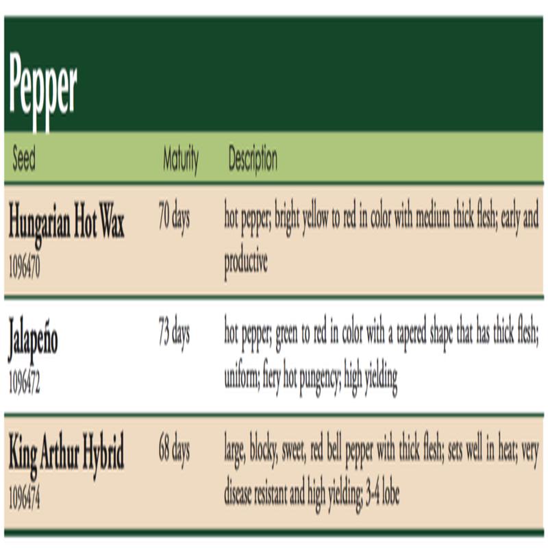 King Arthur Bell Pepper Hybrid Vegetable Seed