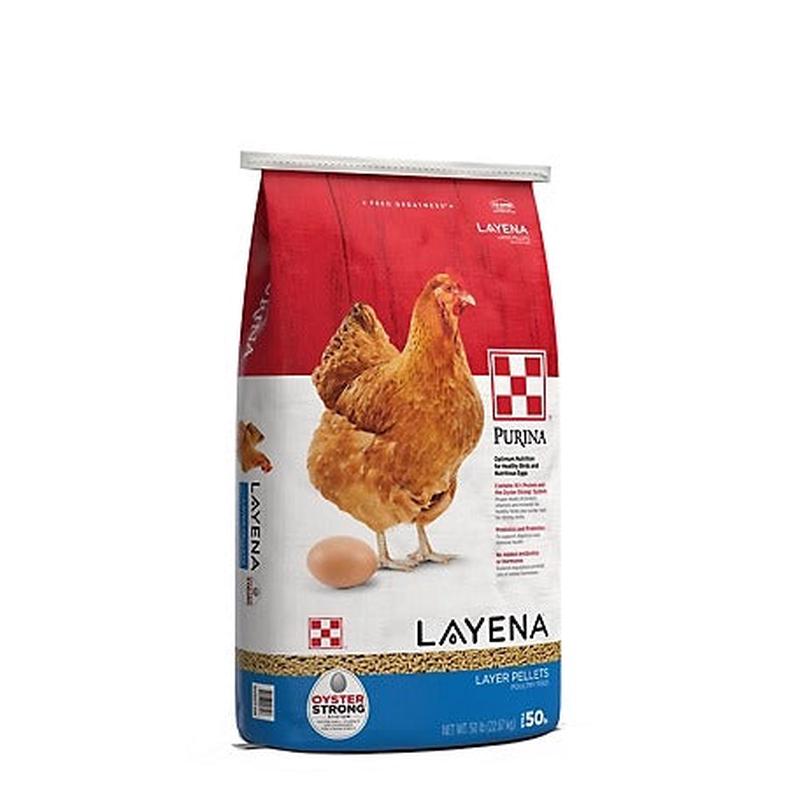 Layena Pellets Chicken Layer Feed