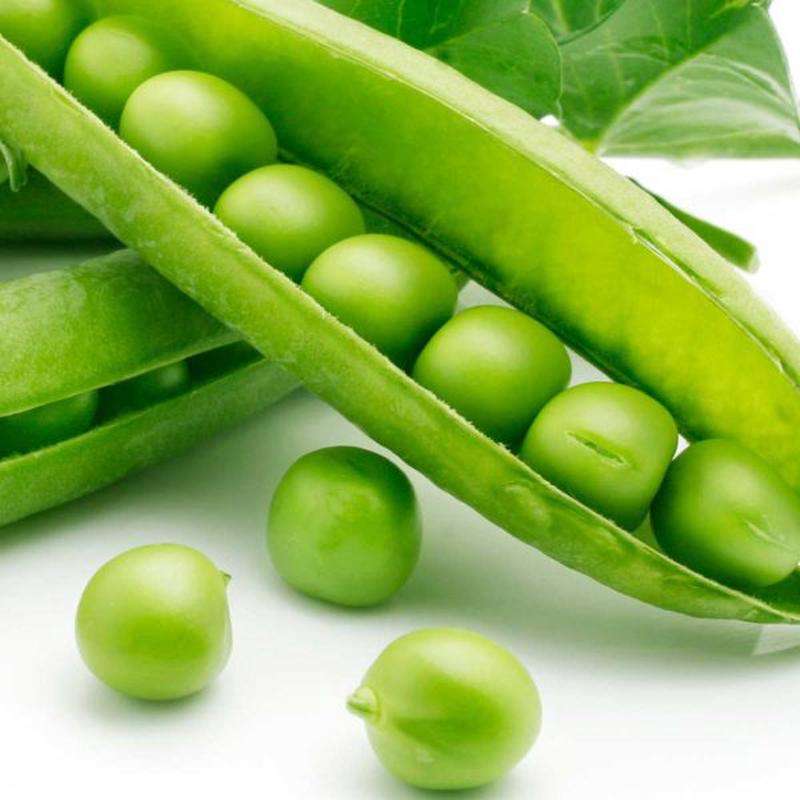 Little Marvel Pea Vegetable Seed