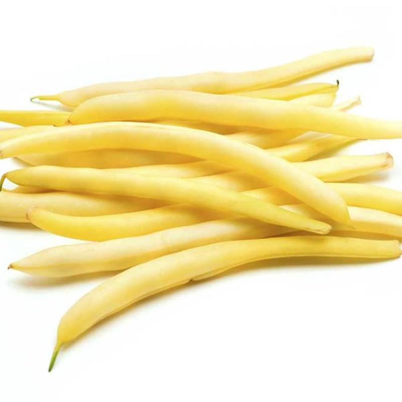Pencil Pod Waxed Bush Bean Vegetable Seed