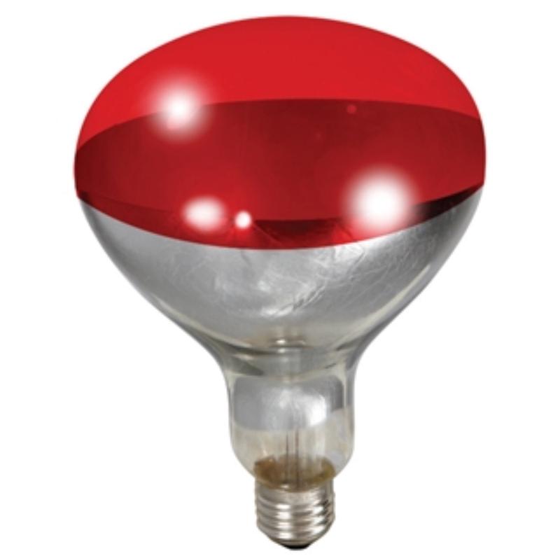 Red Heat Lamp Bulb - 250 Watt
