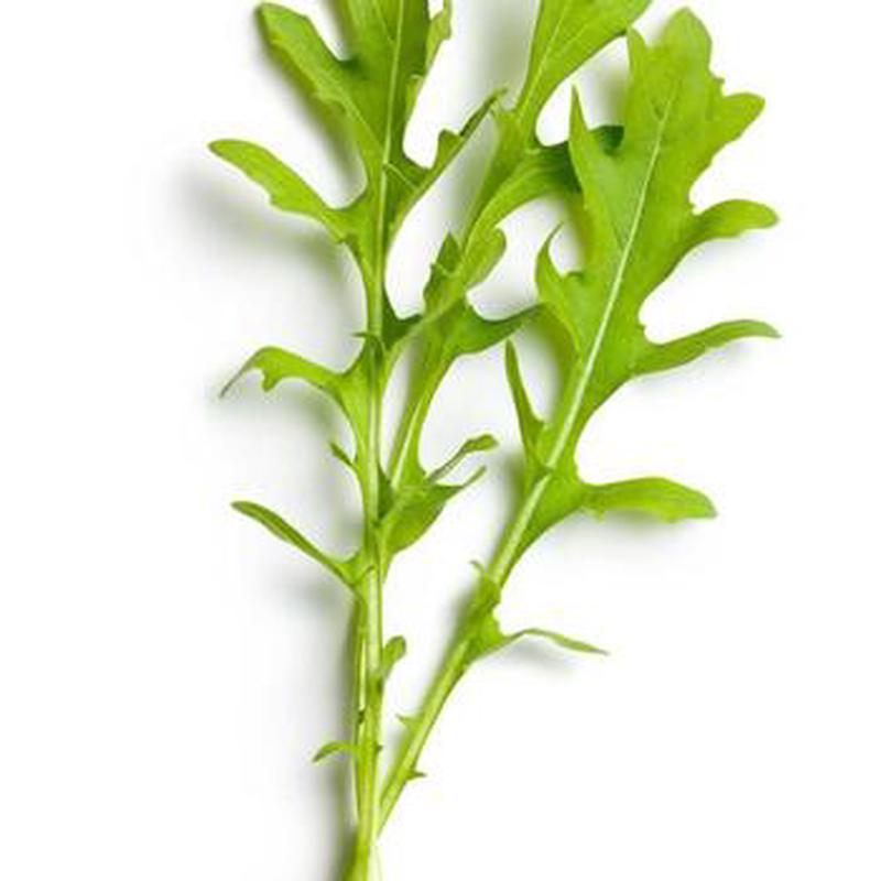 Roquette Arugula Vegetable Seed