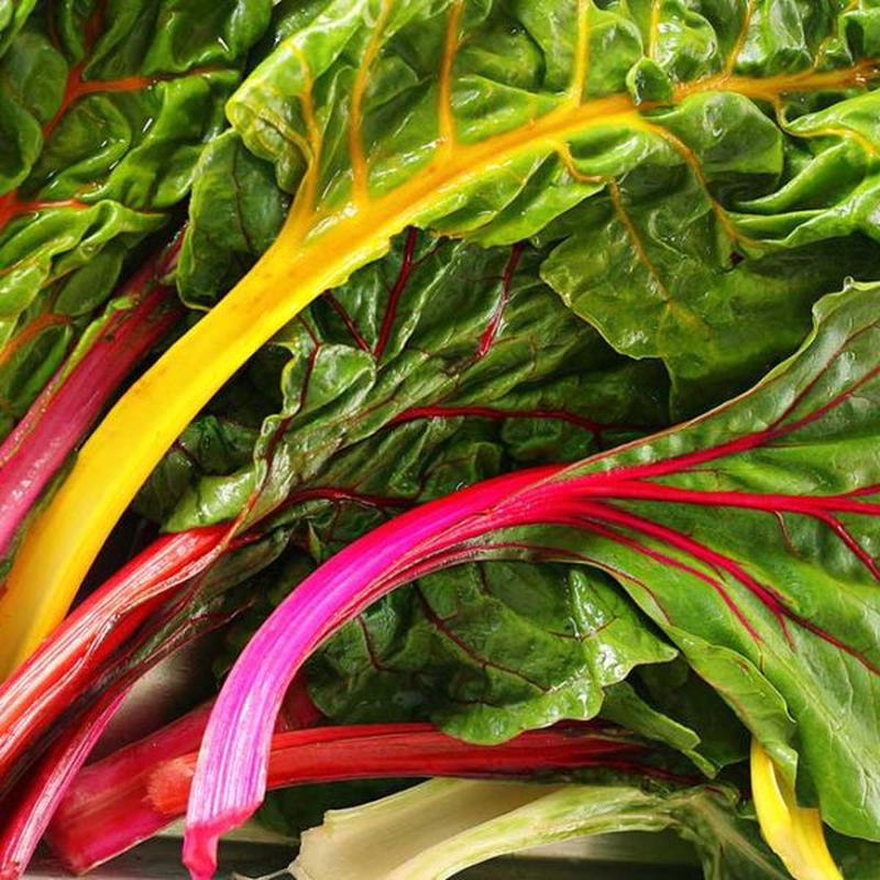 Ruby Red Swiss Chard Vegetable Seed
