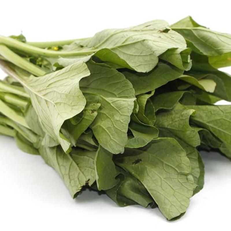 Southern Giant Curled Mustard Vegetable Seed