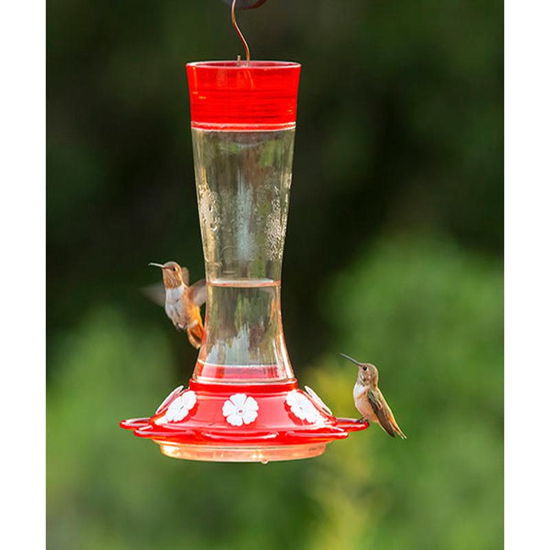 Garnet Hummingbird Feeder