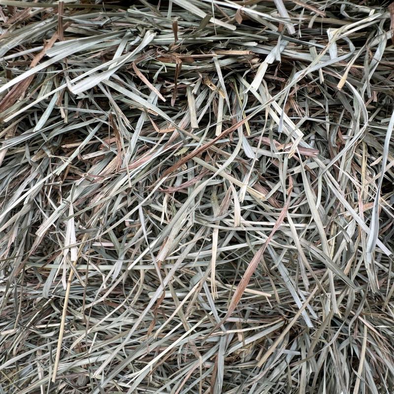 Hay Bale
