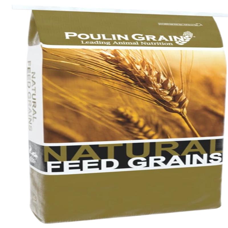 Poulin Grain Whole Oats