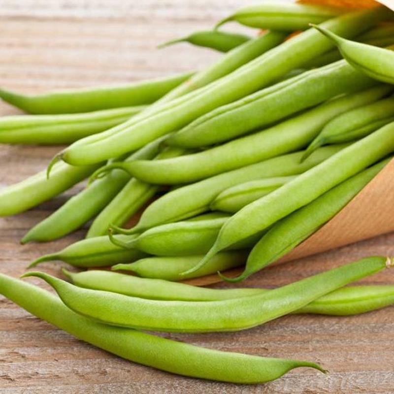 Blue Lake Pole Bean Vegetable Seed