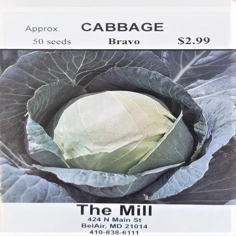 Bravo Hybrid Cabbage Vegetable Seed