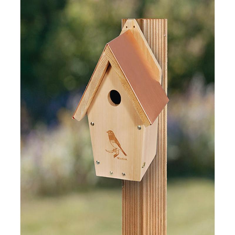 Coppertop Bluebird Bird House
