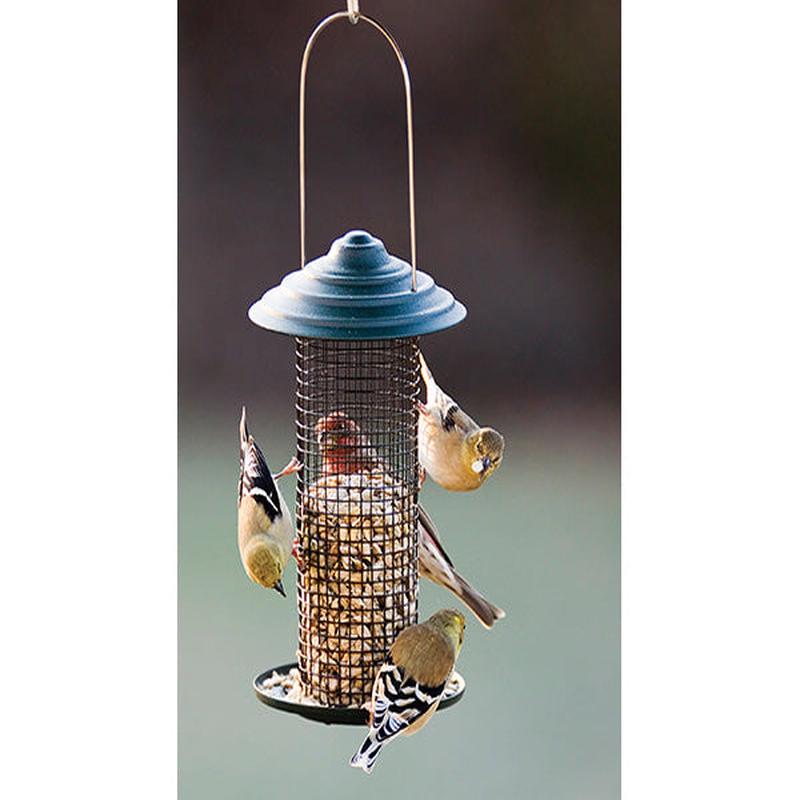 Green Magnum Sunflower Bird Feeder