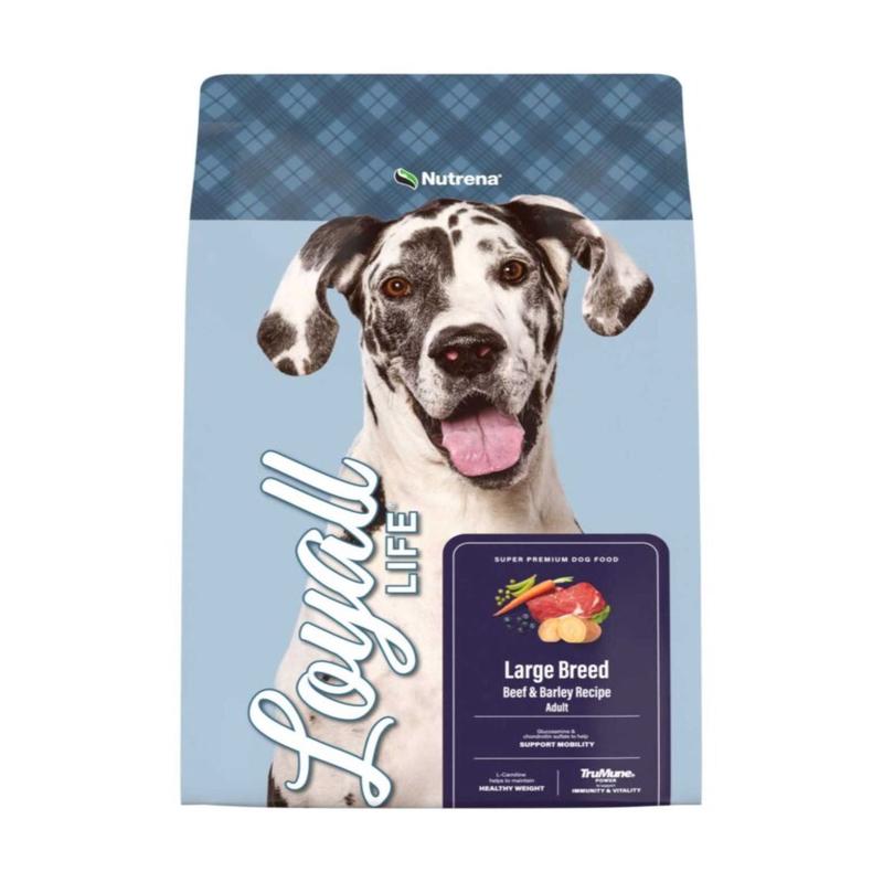Loyall Life Adult Large Breed Beef and Barley Dry Dog Food