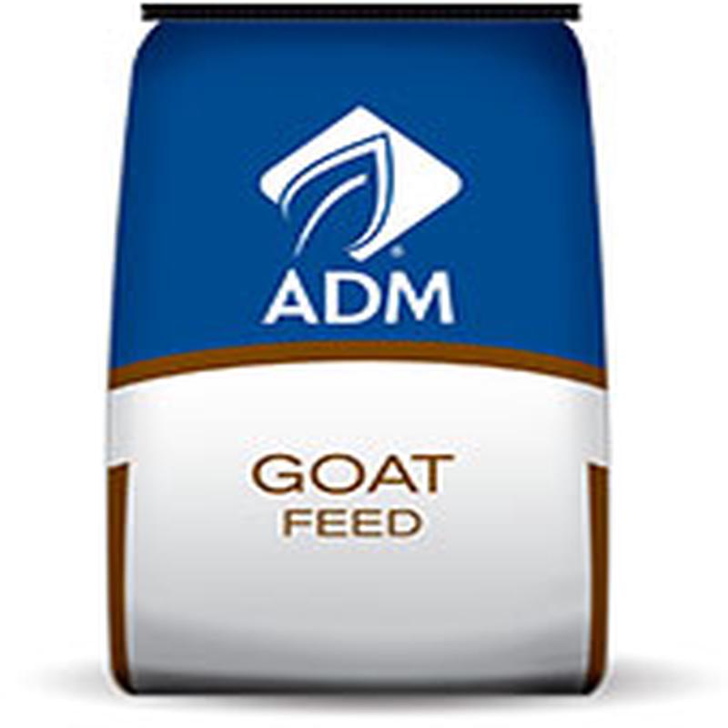 Meat Goat Power 16% with Deccox Goat Feed
