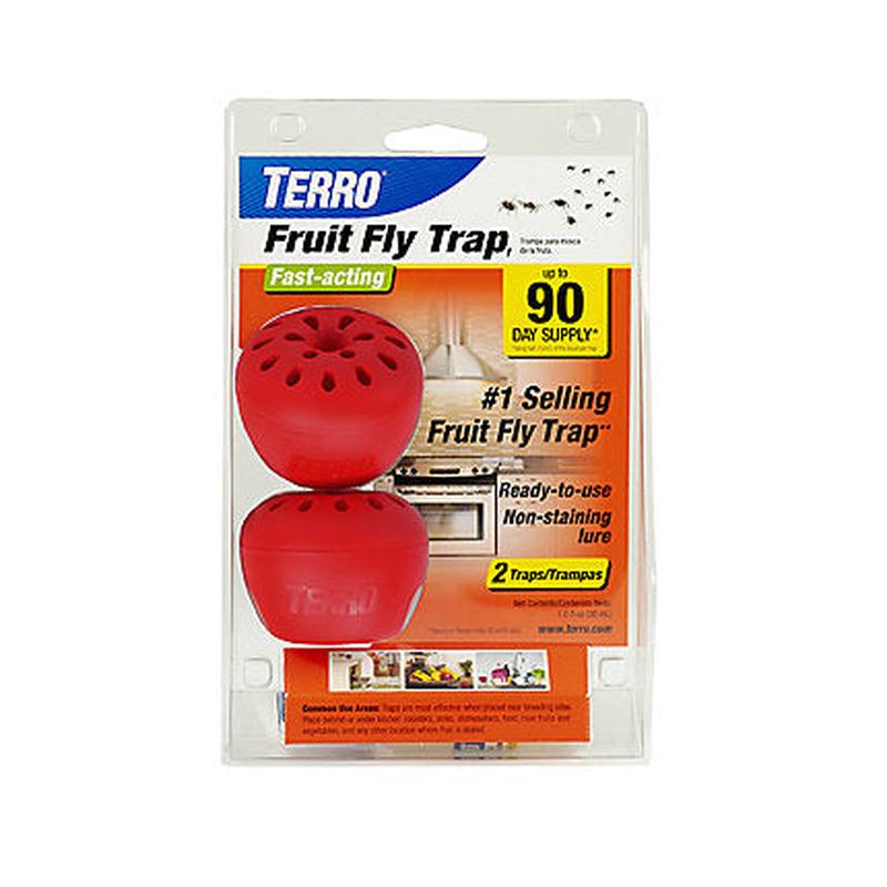 Fruit Fly Trap