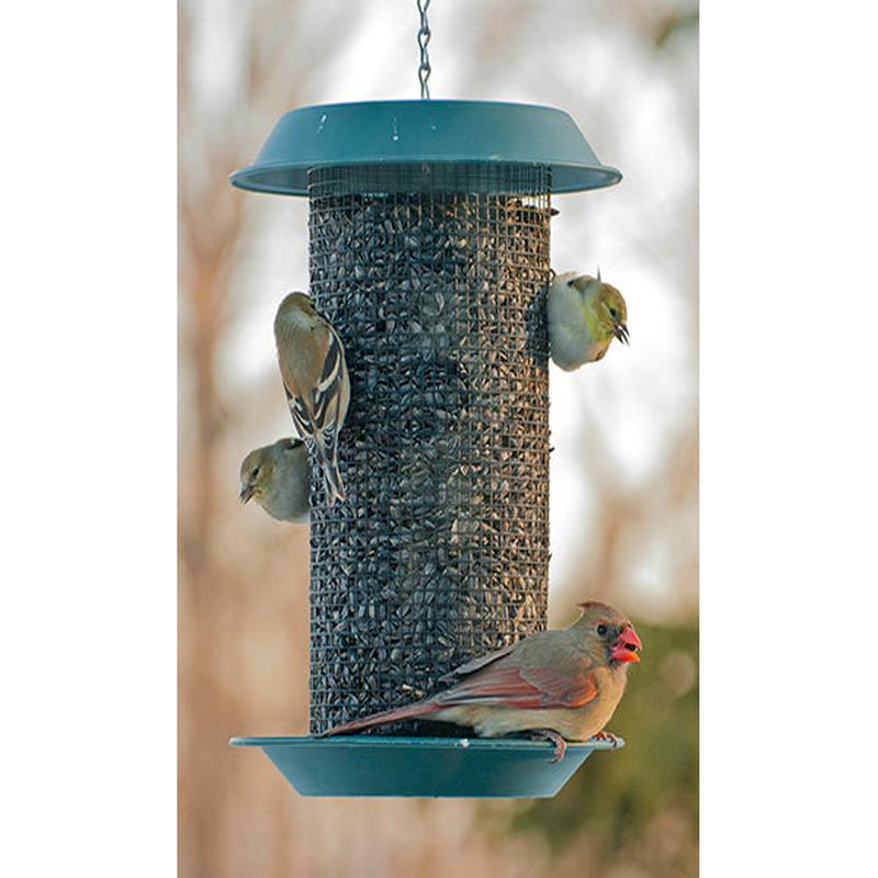 Green Magnum Mesh Sunflower Bird Feeder