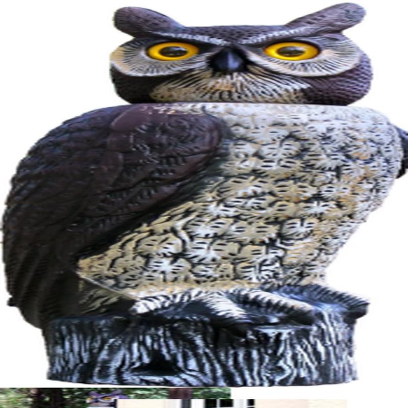 Rotating Owl Head