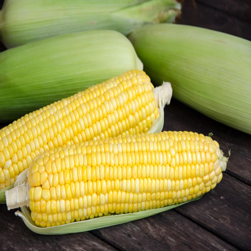 Takeoff Sweet Corn Vegetable Seed