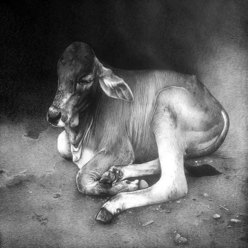 Cow Child