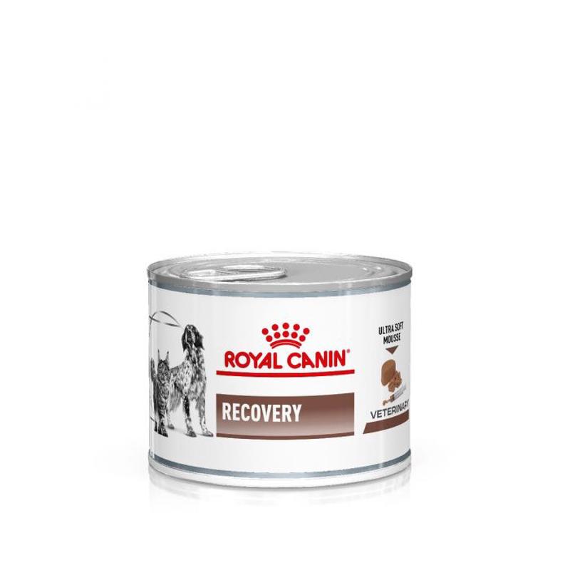 Royal Canin Veterinary Diets Gastrointestinal Recovery Ultra Soft Mousse 12 x 195 g